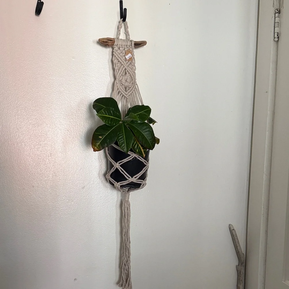Neutral Cream Macramé Plant Hanger - Boho Wall Plant Holder
